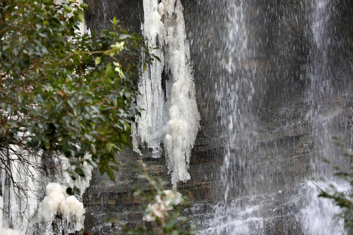 山西林业职业技术学院森林生态旅游专业好不好发展前景怎样