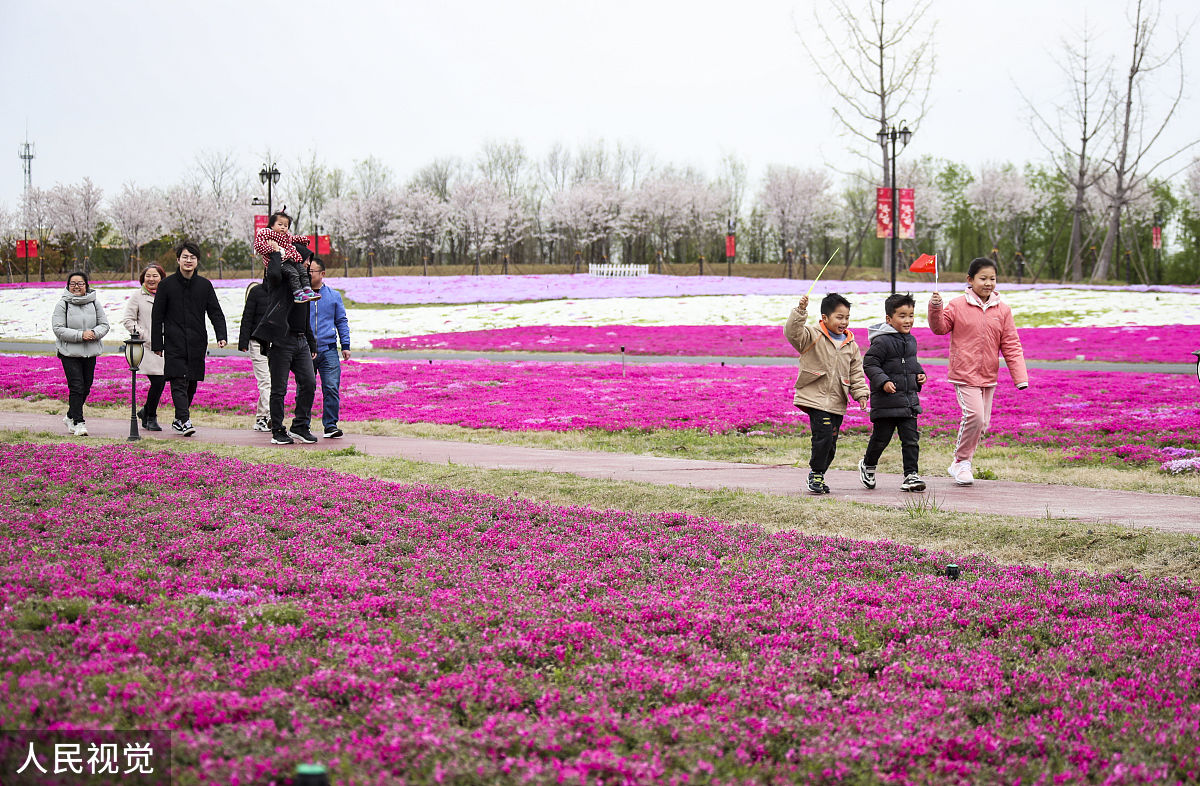 2020年3月29日,江苏淮安,游客在白马湖向日葵故事景区游玩.