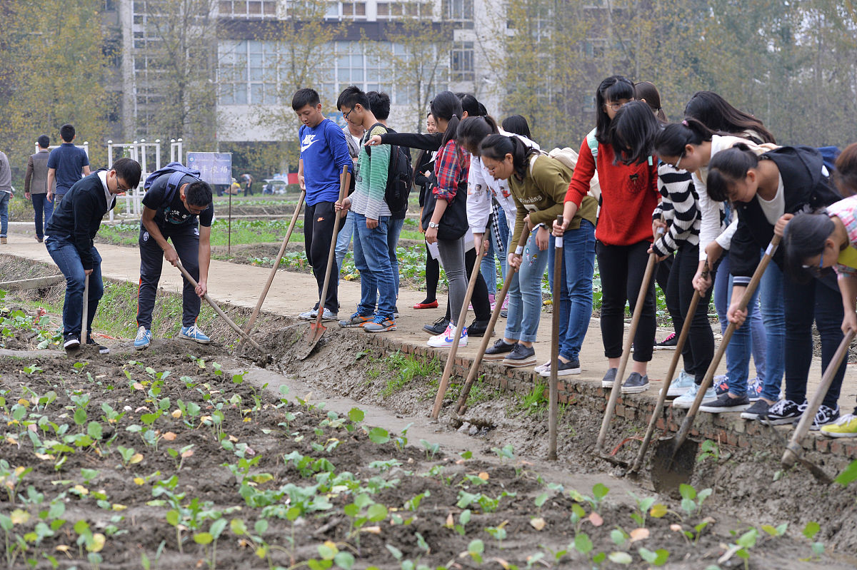 四川市场营销专业学校哪家强这几所学校别错过!
