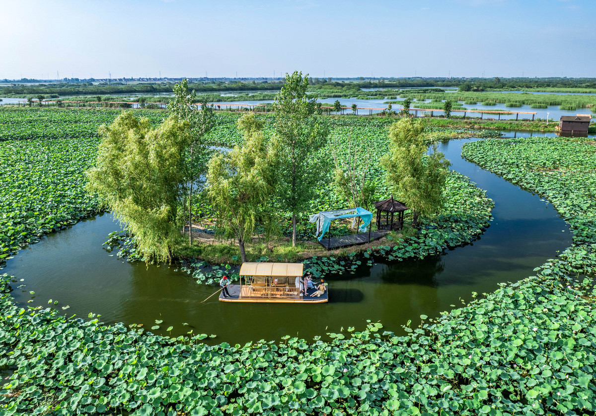 以陶辛镇陶辛水韵为主要内容写一份项目重难点分析及应对措施的方案