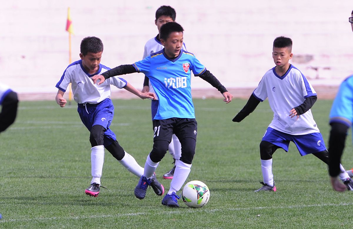 嘉兴民办小学入学条件：2023最新招生政策解读