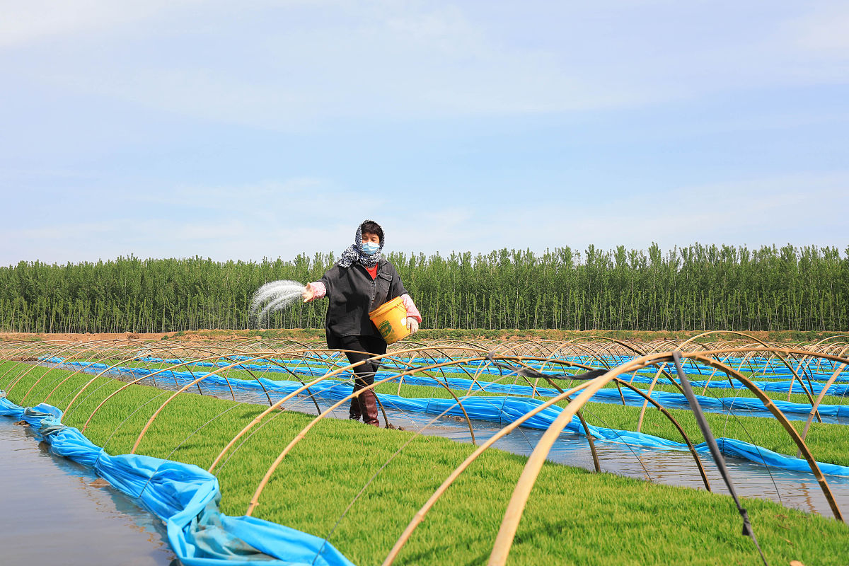 唐山高中毕业上中专学校学什么专业好怎么样