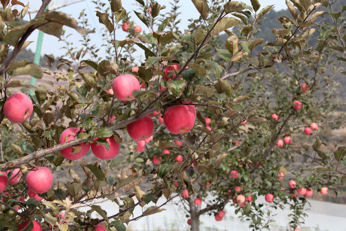 平顶山财经学校2023年地址在哪里