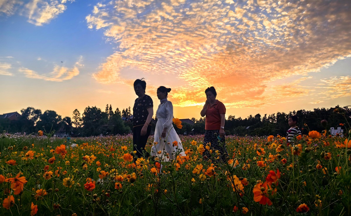 她好奇地问是什么呢？他拿出一张纸片上面写着：今天下午我请你去花海里走走吧。哇！太棒了！她高兴得跳起来我超喜欢看花的！于是在这个初春的周末两人来到了一个美丽的花海。五颜六色的鲜花在阳光下绽放着让人眼前一亮。真漂亮啊！她惊叹道。嗯……他也被这美景所吸引不过我们要小心点别踩坏了它们。哈哈哈！你还挺可爱的嘛！她笑着捏了捏他的脸颊。两人边走边聊天感觉时间飞快地流逝。突然间他停住了脚步。怎么了？她问。等等……