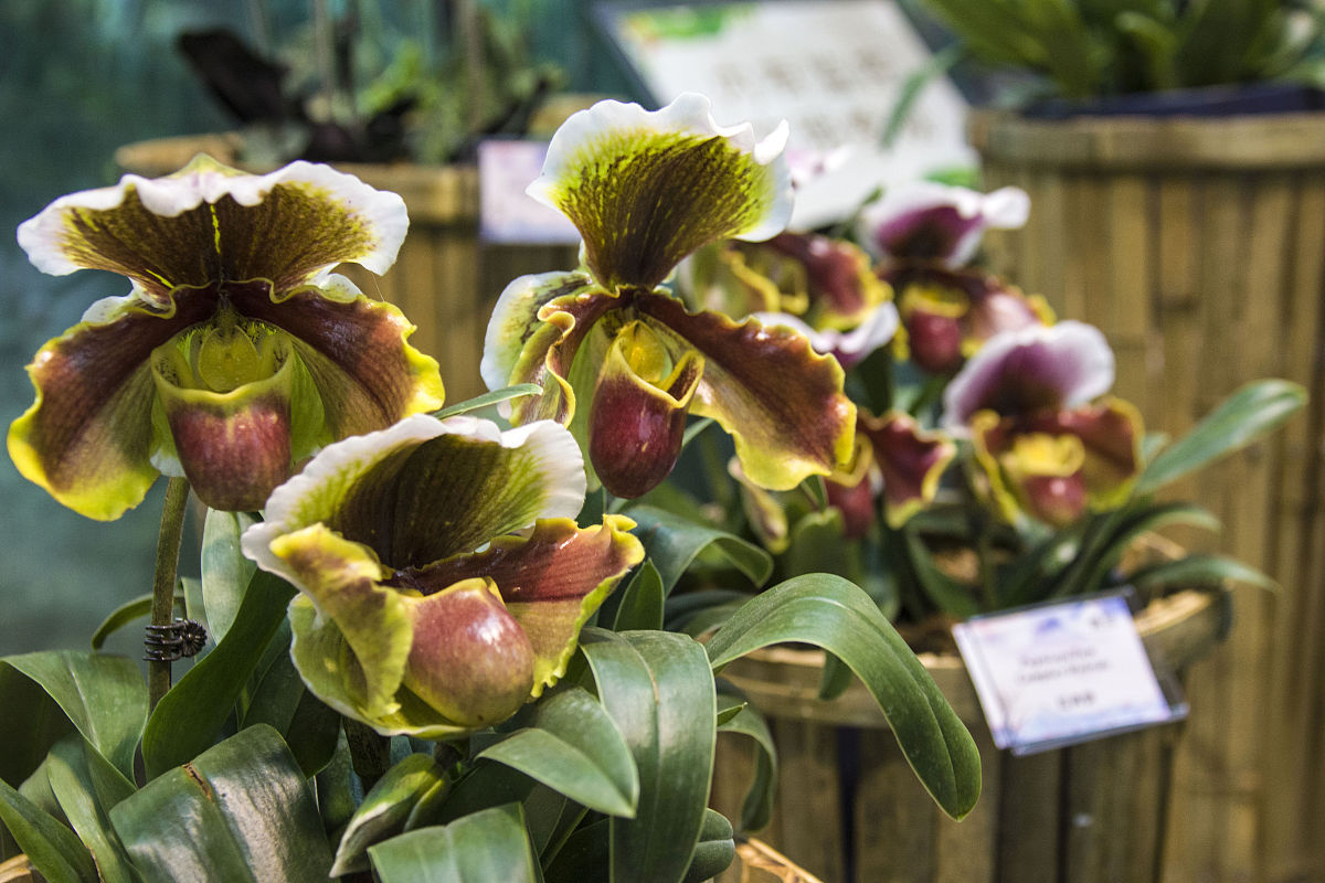 中山建斌中等职业技术学校2022年招生简章 - 报名指南