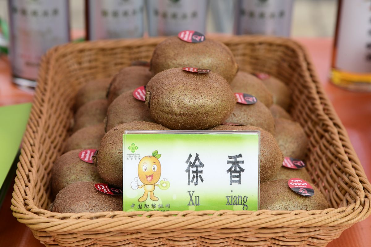 周至猕猴桃：陕西特产，口感绝佳，营养丰富