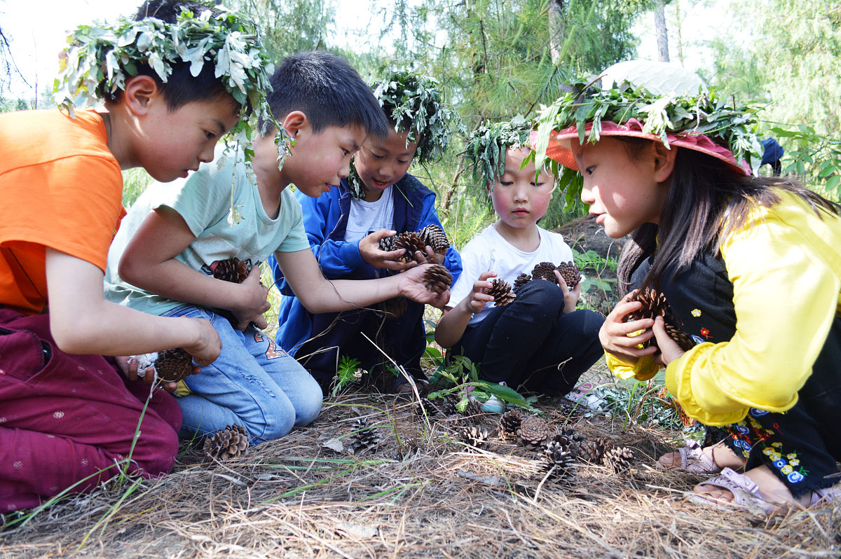 神奇草药大冒险：开启小小药草师之旅