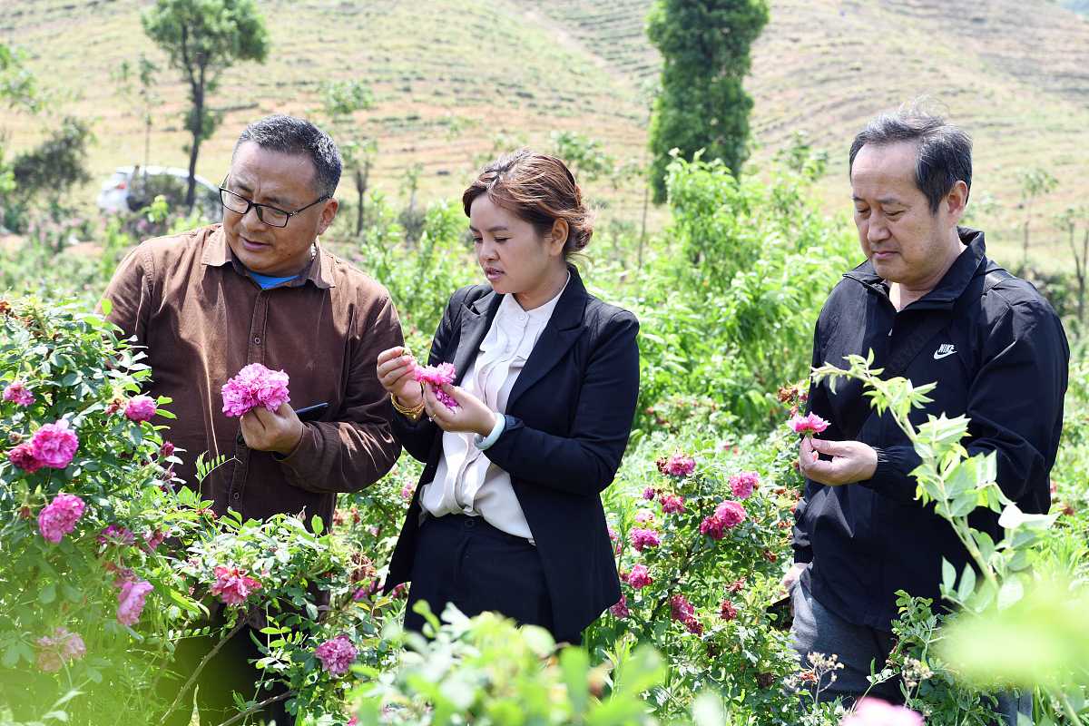 曲靖农业职业学校2019年专科特色招生专业