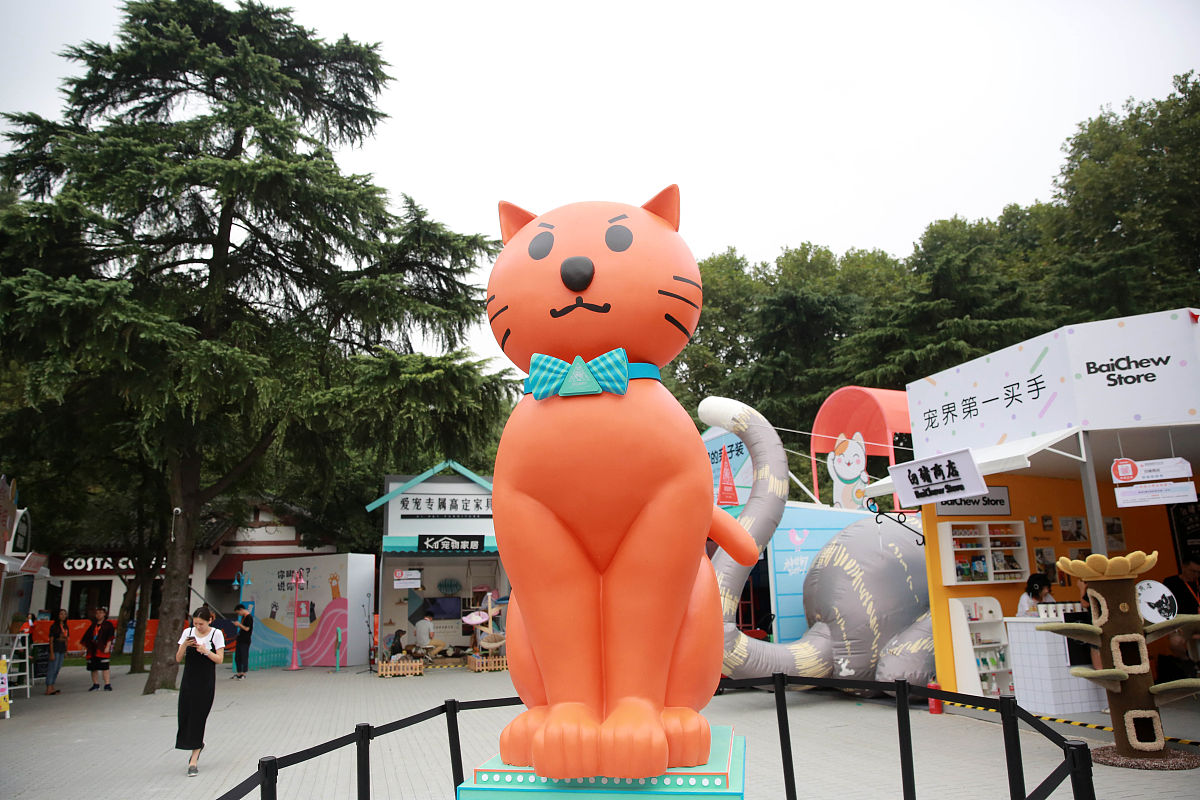 2018年9月13日,2018淘宝造物节在杭州西湖边开幕,宠物"萌市".