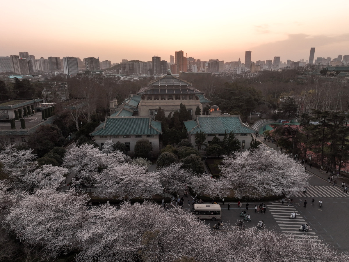 武汉大学,这座拥有百年历史的学府,宛如一颗璀璨的明珠,镶嵌在长江之