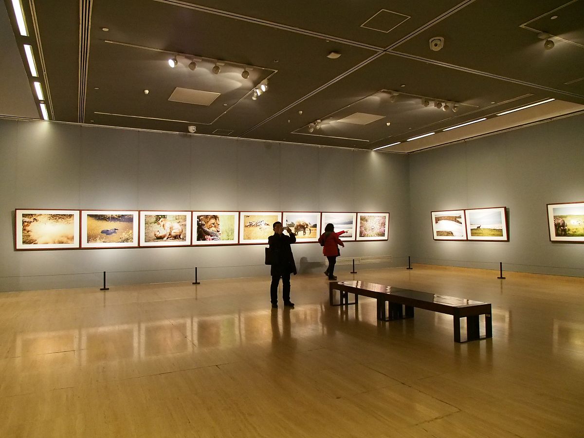 生态自然观：对辩证唯物主义自然观的丰富和发展