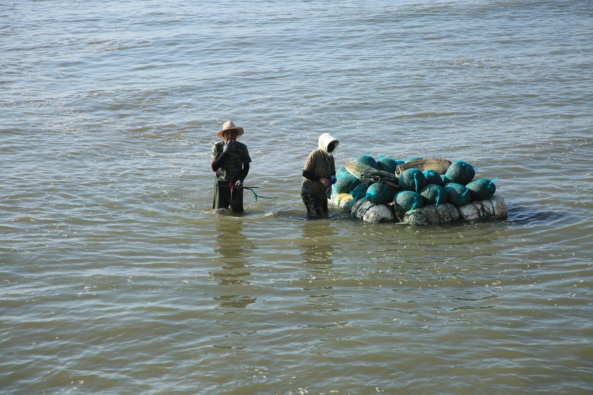 钦州三娘湾村渔业社区可持续发展：农民种子网络的积极作用