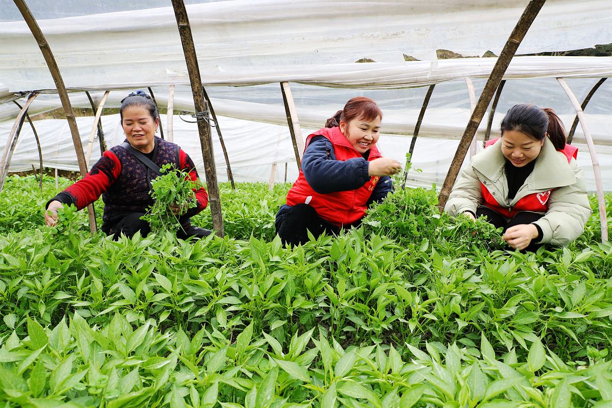 贵州护理职业技术学院中职部2022年招生条件是什么