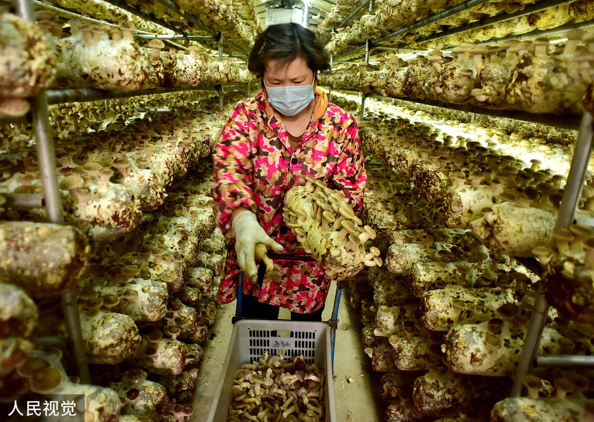 浙江树人学院动画专业课程设置及未来发展方向