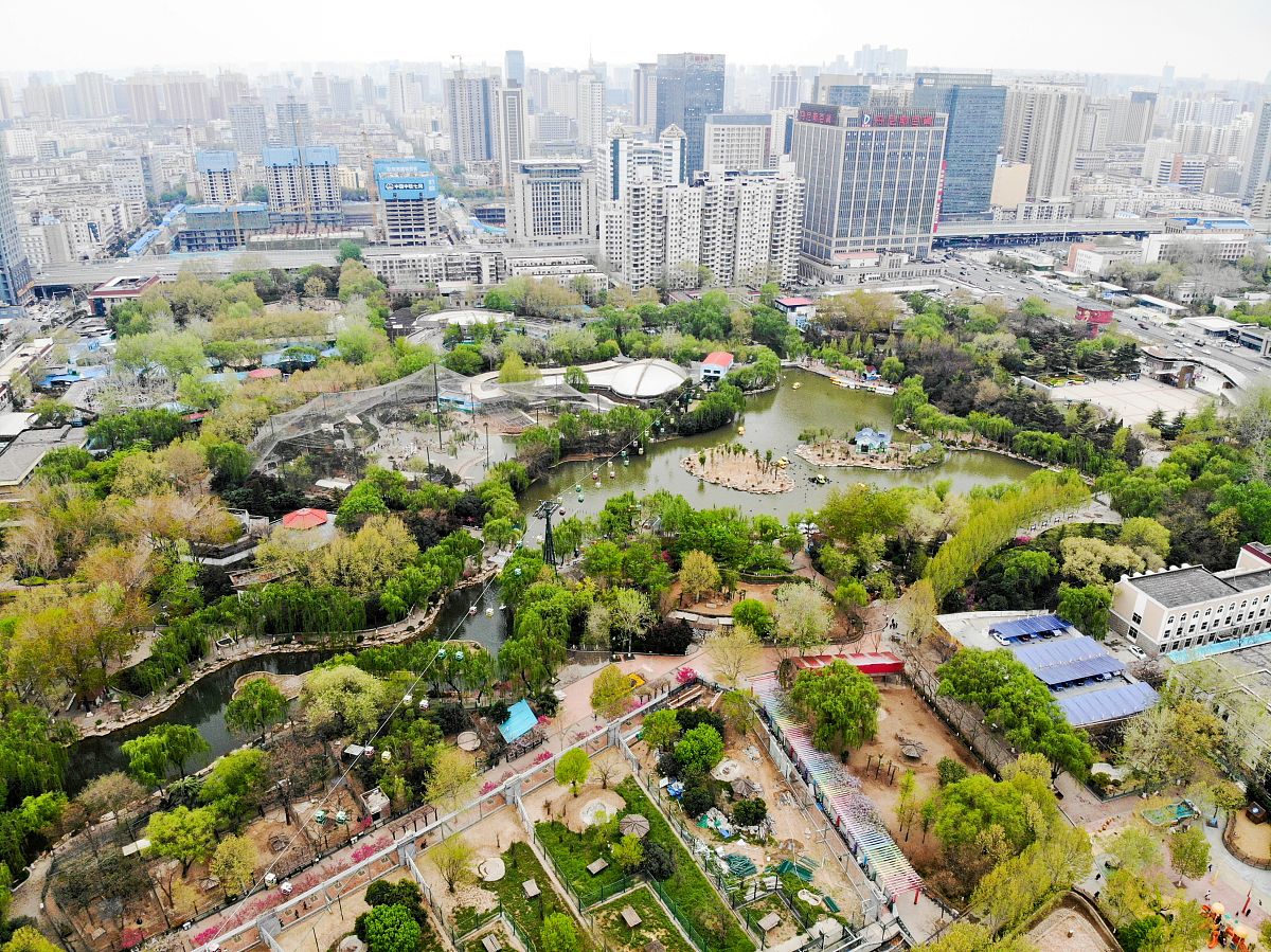 郑州旅游攻略：特色、景点、未来发展 - 全面解析