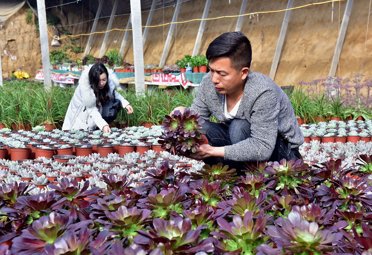 二、存在的问题一是各镇办对已拆除大棚进行资产残值评估及资产处置时缺少相关部门的指导部分处置程序不规范。二是部分镇办对闲置大棚采取的解决措施不精准闲置大棚利用率不高。三、下一步打算一是继续与各镇办保持密切联系确保问题整改工作取得实效。二是继续加强与各镇办沟通和指导工作推动食用菌大棚等集体资产的运营管理以及农村居民人均可支配收入的提升帮扶确保任务的顺利完成。请将以上内容修改完善更加通顺规范可以适当扩充