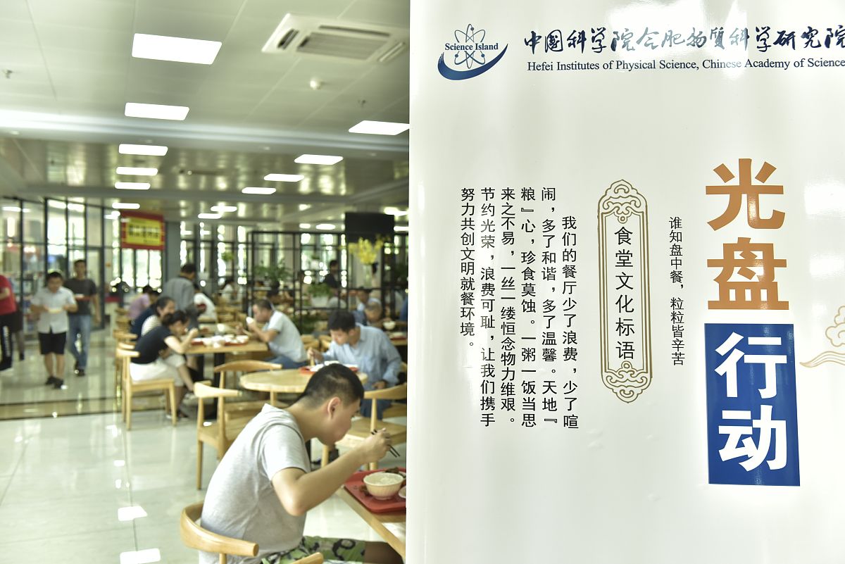 浪费食物，你真的可以心安理得吗？