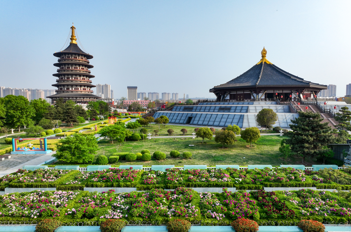 今天我就来给大家揭秘洛阳必去的那些景点,还有我的游玩牡煤褪涤