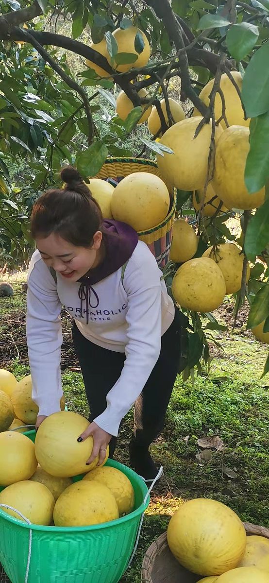 重庆立事信息工程学校2022年招生简章