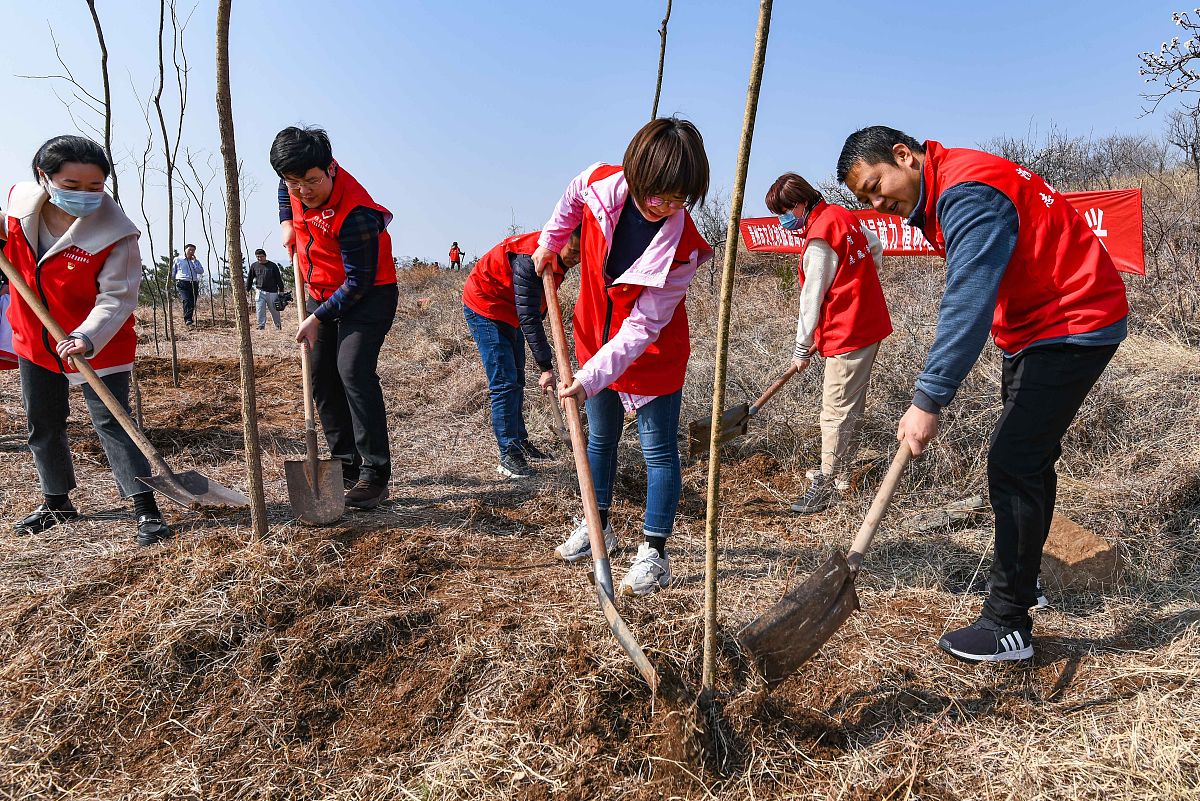 校园劳动心得体会：收获成长与责任
