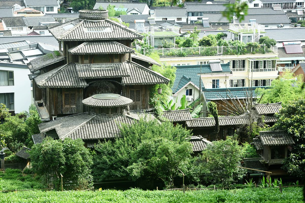 宫崎骏漫画和摄影的关系