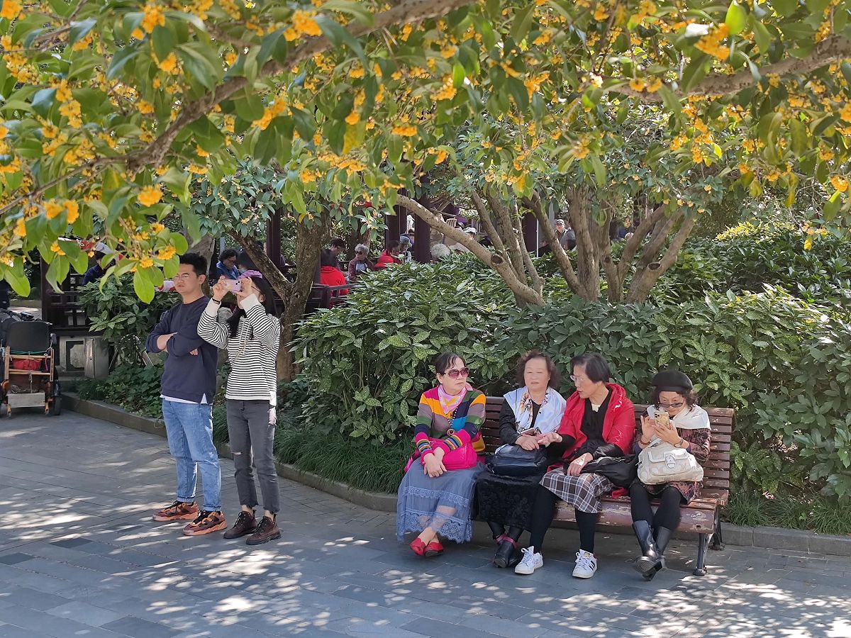 春季中国哪里旅游好玩