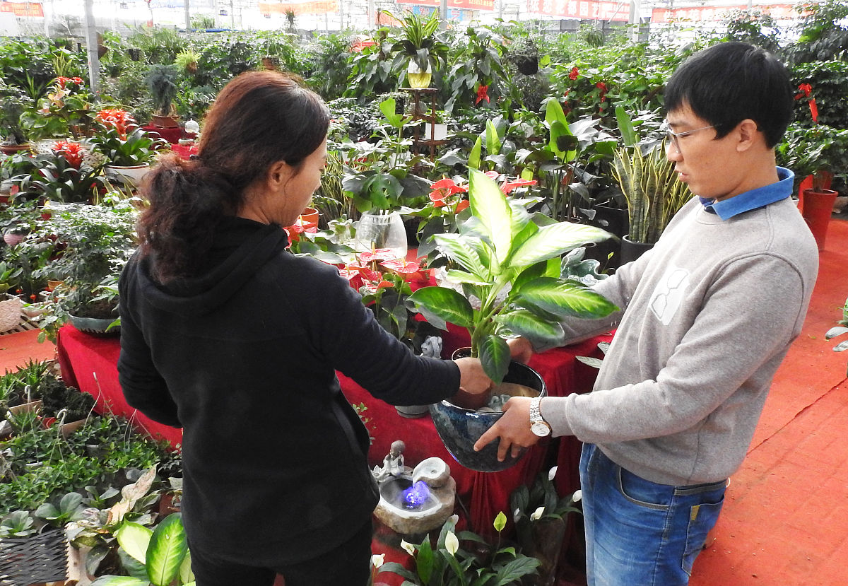 甘肃果蔬花卉生产技术专业中专中职学校推荐