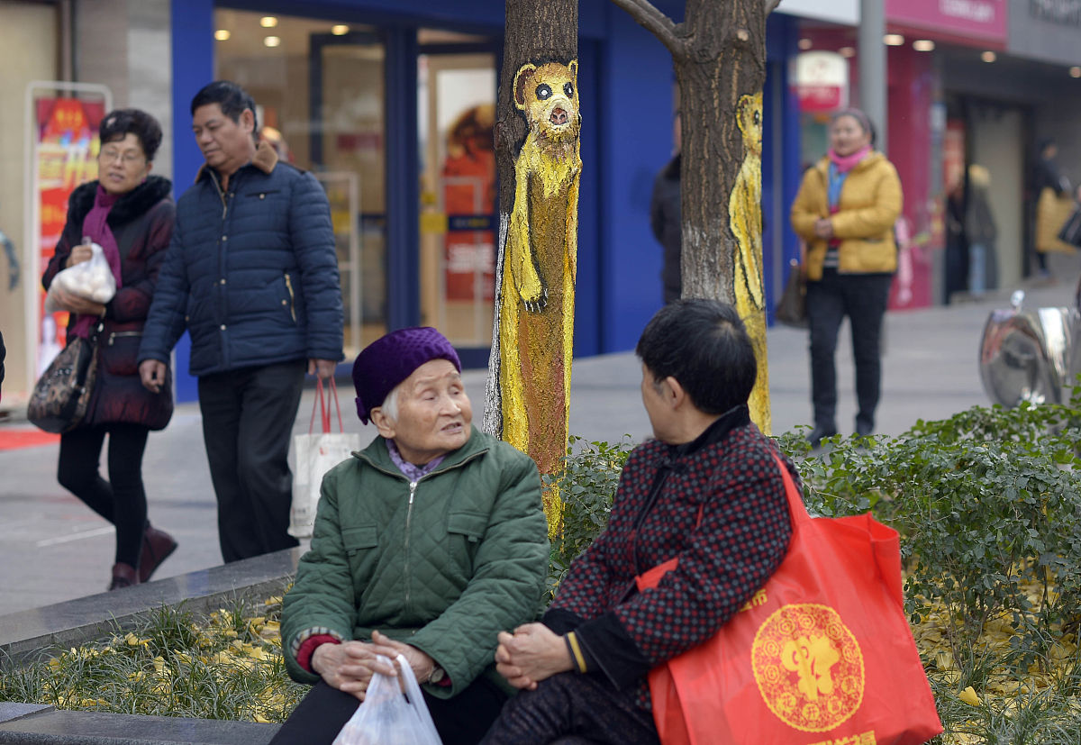重庆交通职业学院高速铁路施工与维护专业课程设置深度解析