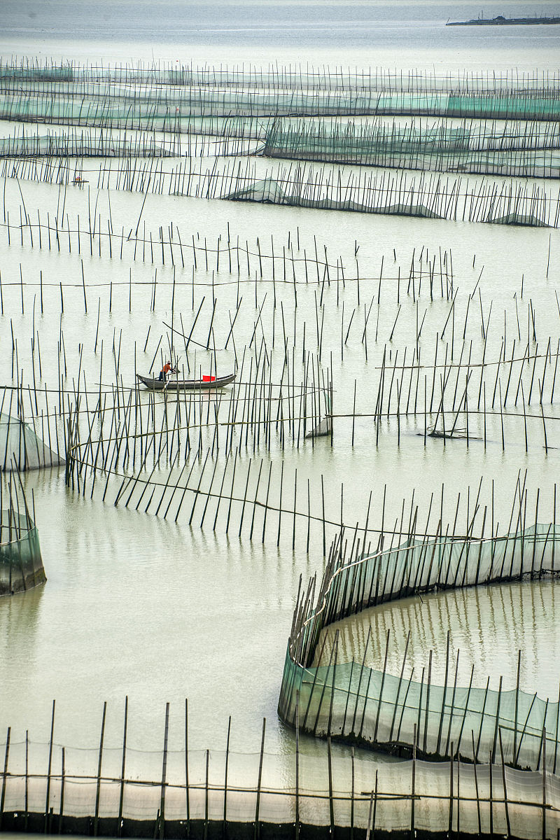 福鼎卫校2022年招生简章
