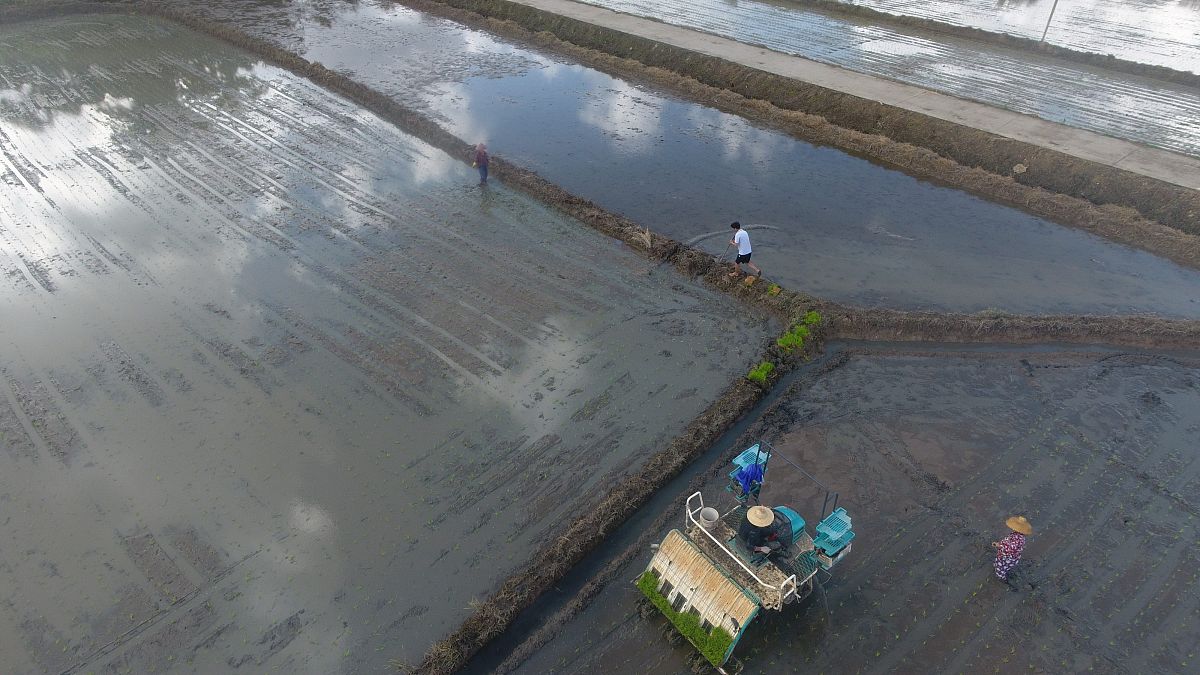 在四川读水产养殖技术专业可以去哪些学校