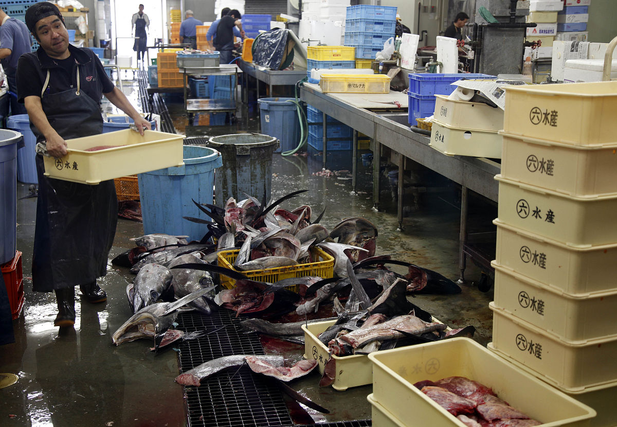 周口职业学院旅游管理专业就业前景