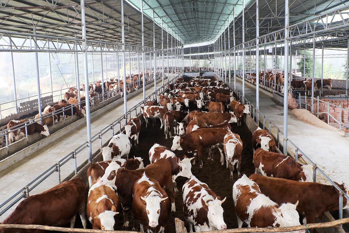 贵州省畜牧兽医学校动物养殖专业招生简章