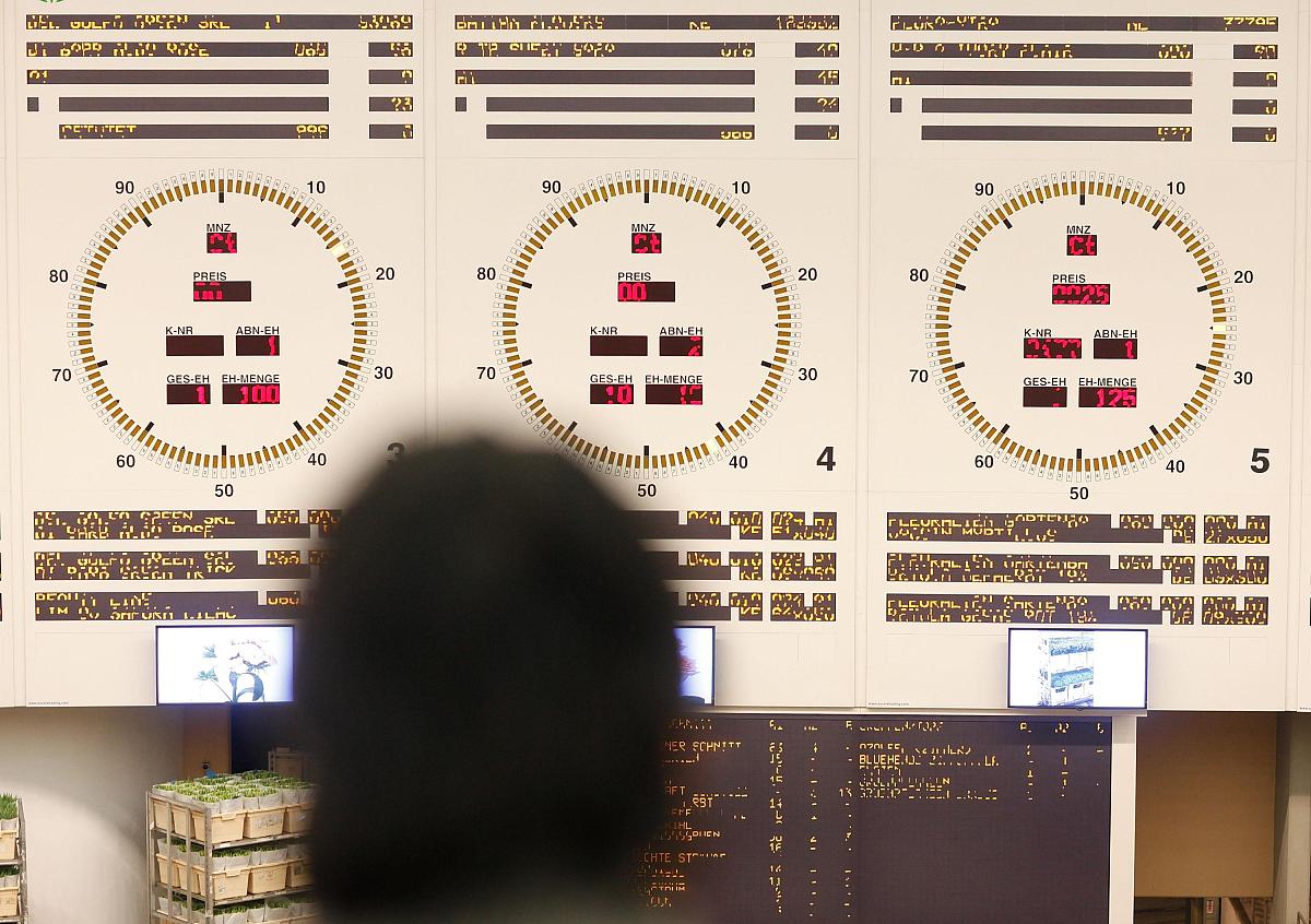 2012年2月9日,德国施特拉伦,商人们参加鲜花批发拍卖会.情人节是德国