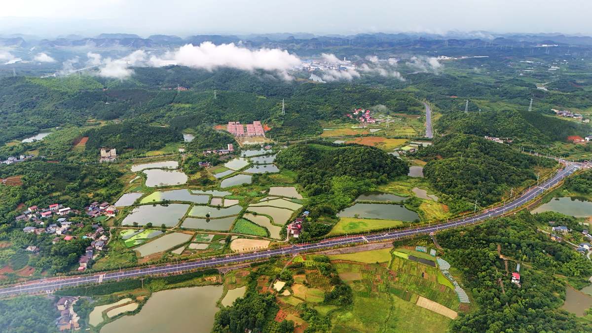 南宁市坛良村特色产业发展：乡村振兴的成功案例