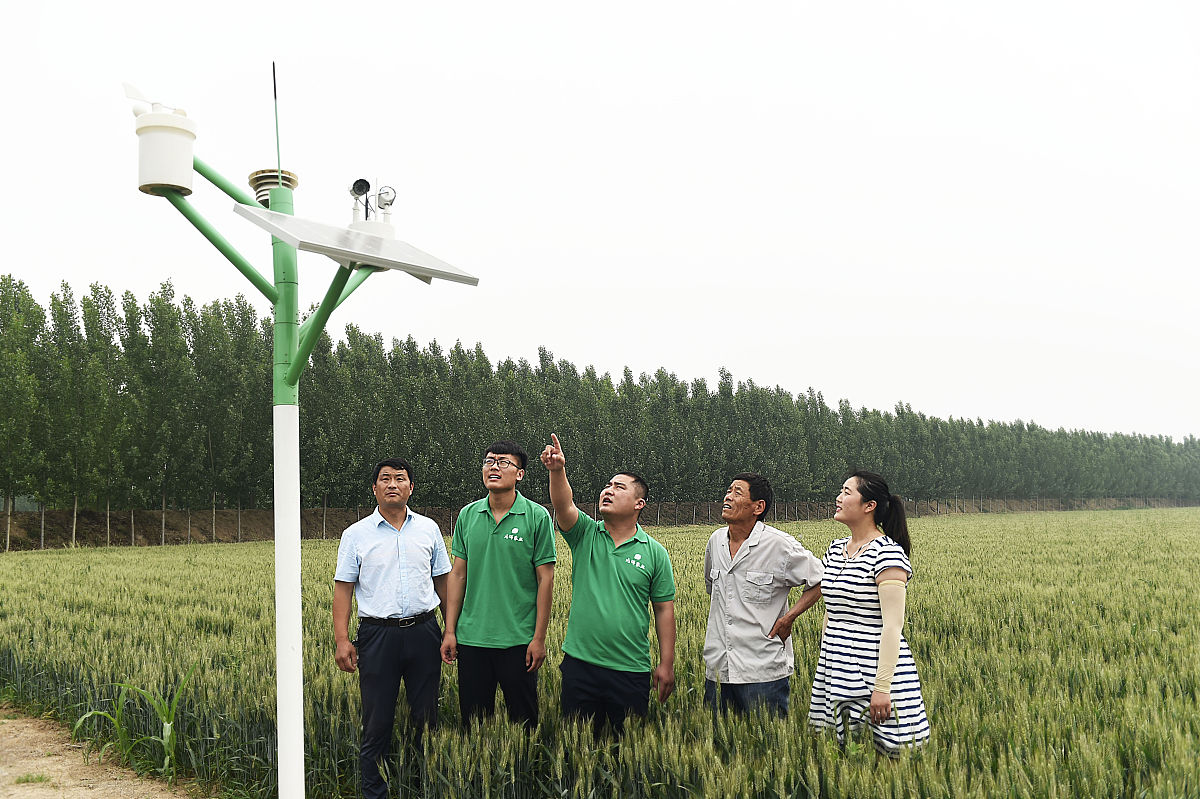农村环境监测：现状、前景与展望