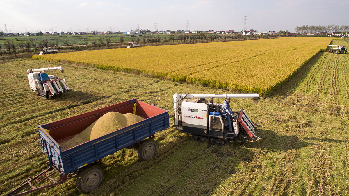 水稻收获机械