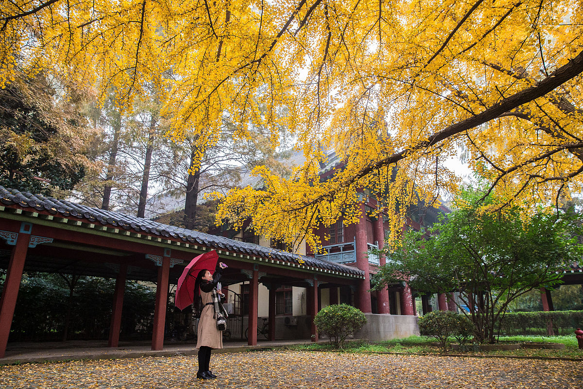 南京师范中专学校简介：专业设置、教学特色与发展优势