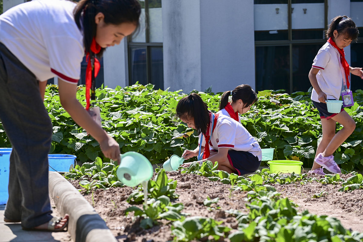 劳动教育形式与政策