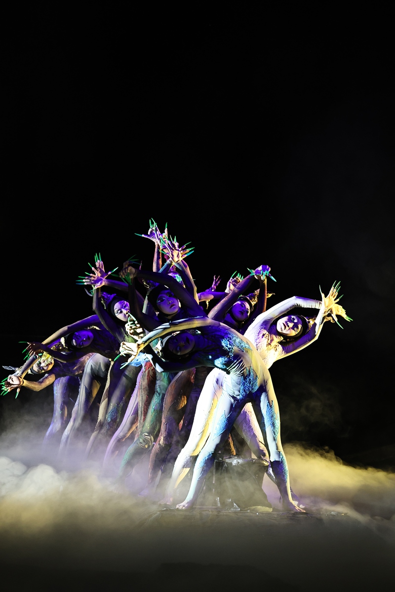 被国外编舞师点名中国部分dance未经同意扒舞教课