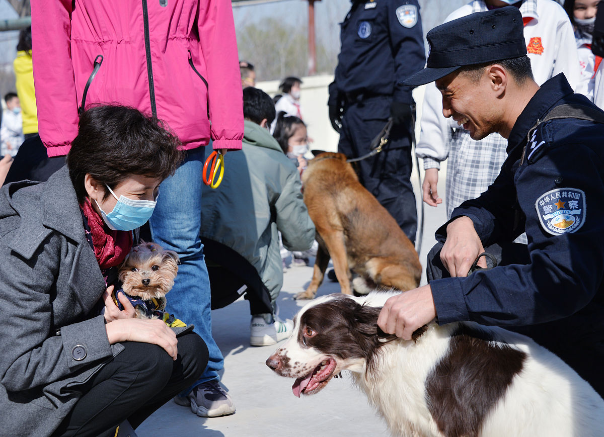 淮北市众善流浪动物保护协会详细解答并扩展补充