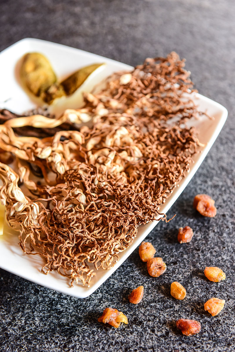 沂源职业教育中心学校2021年招生简章