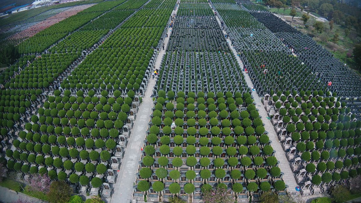 节地生态安葬：环保理念与优势的推广