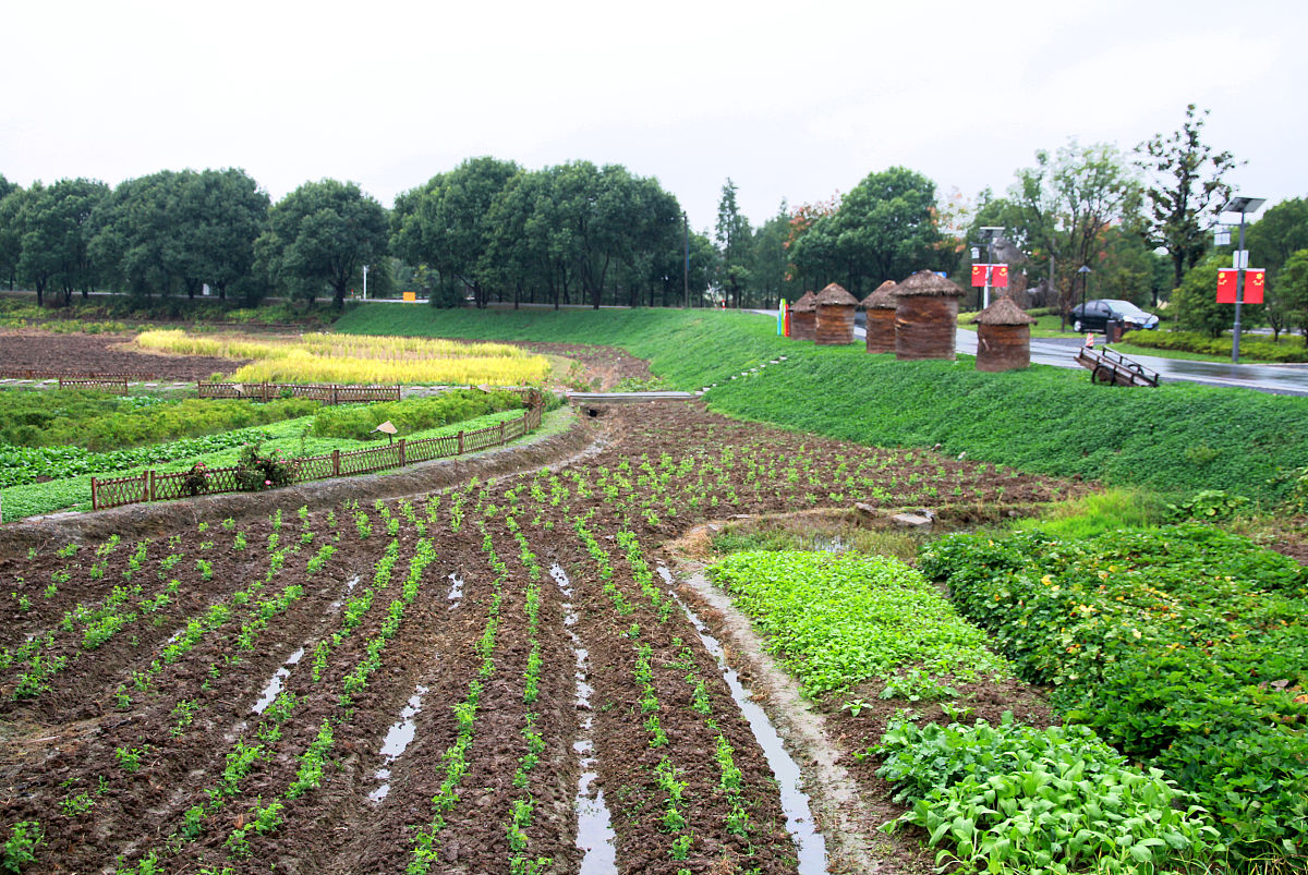 小镇经济特色产业有哪些？7大类产业助力乡村振兴
