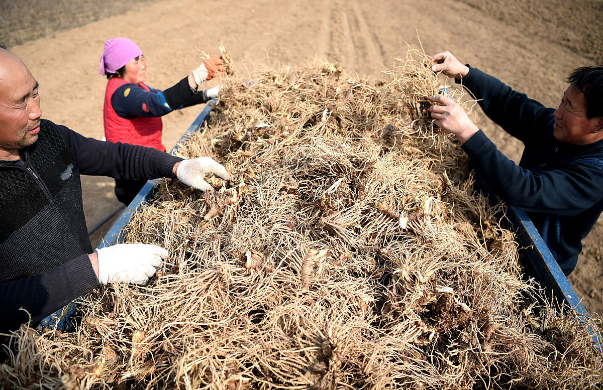 子洲县富发农业科技公司黄芪产品营销环境分析：经济环境