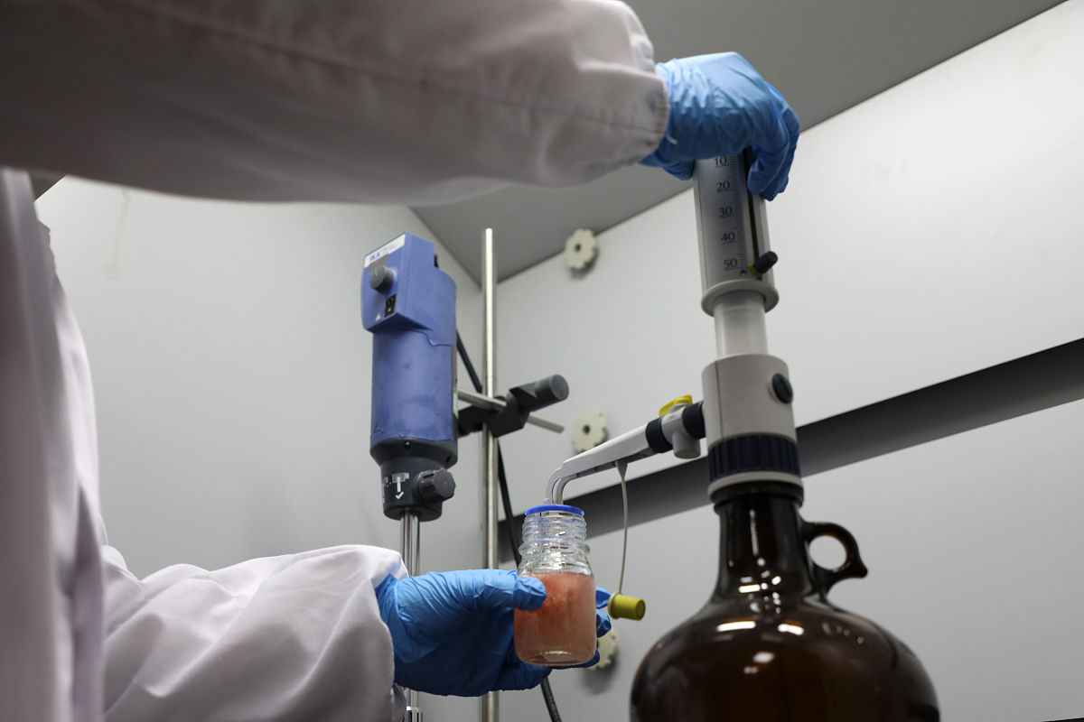 虎杖提取分离游离蒽醌类成分及虎杖苷注意事项