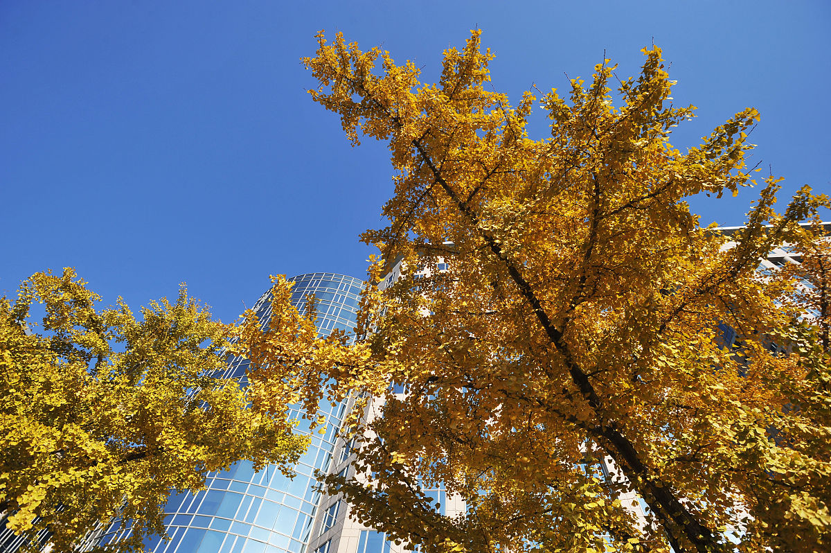 贵州职校环境监测技术专业就业前景好不好？好就业吗