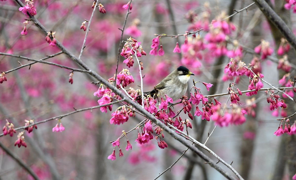 黔西南初中毕业能上中专学校