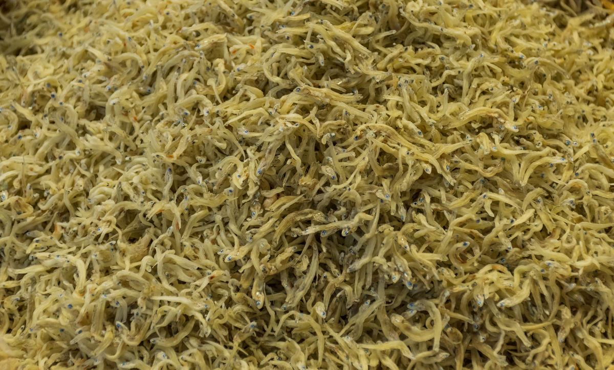 鲜黄花菜晒干秘诀：蒸多久更快？