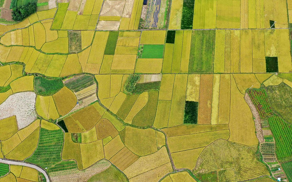 广西理工职业技术学校2021年招生条件是什么