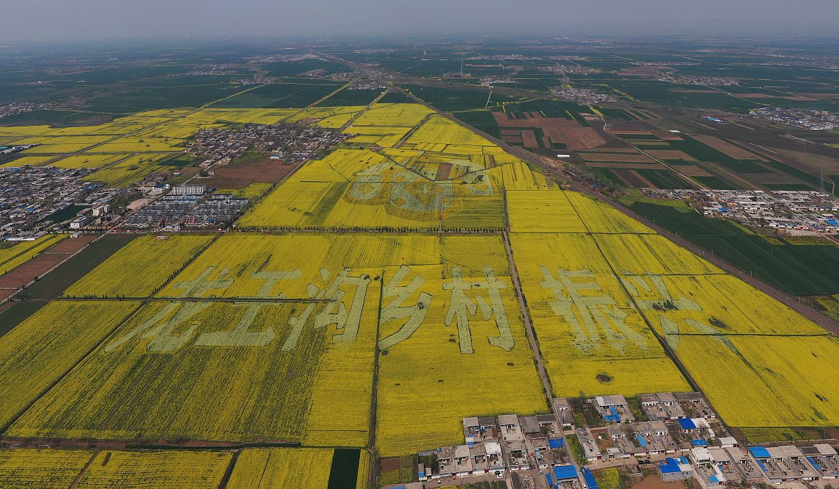 楚雄农业学校农村经济综合管理专业：培养乡村振兴人才